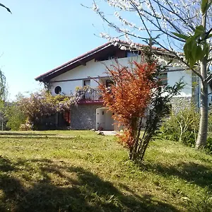 Mote Mutriku